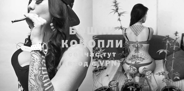 не бодяженный Болхов