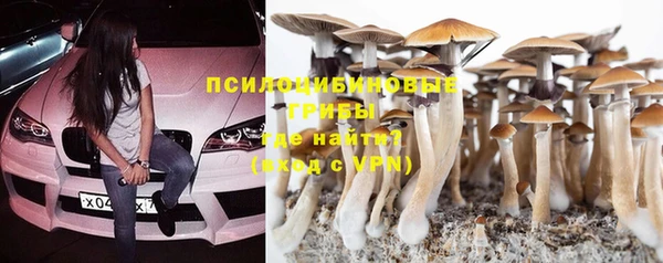 спиды Михайлов
