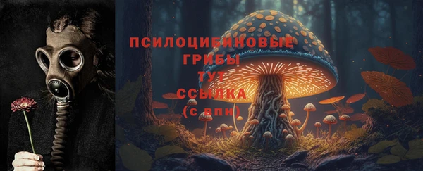 спиды Михайлов